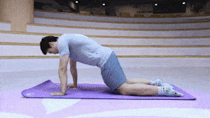 3836128de8ad45f0a7e5fa496a1b6bf2.gif