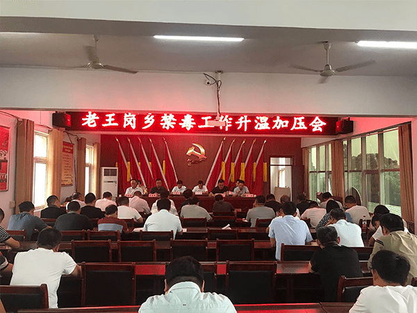 老王岗乡简介 4607d667430e456c9618bdabfce6edf3.png