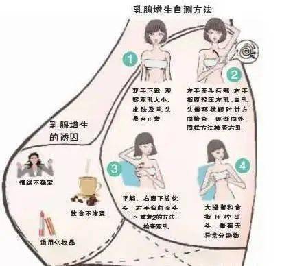 67乳腺增生和乳腺癌,到底有没有关系?_乳房