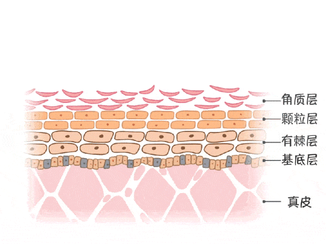 美容|以色列美容仪太牛！千万红人都用它提拉、导入、清洁，还有18K真金护理头