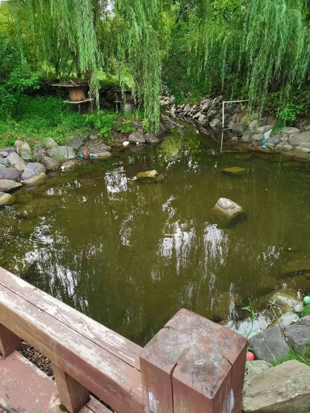 沅陵县有多少人口