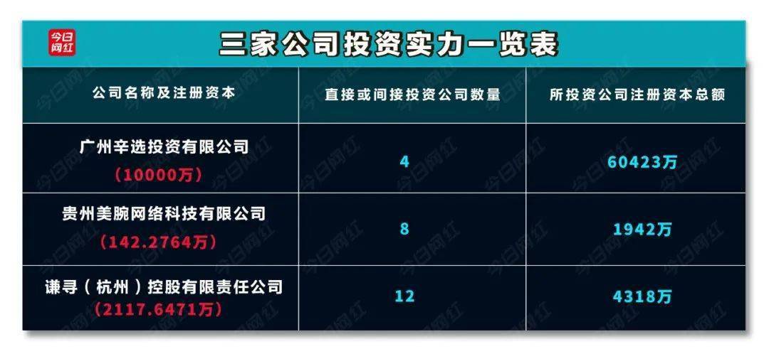 薇娅|直播外的战场:薇娅投了12家,辛巴捧红涨停股、李佳琦爱个人投资