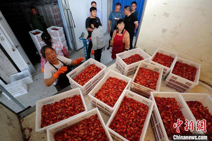 螺蛳|辣条、螺蛳粉进学校专业课堂，童年梦想照进现实？