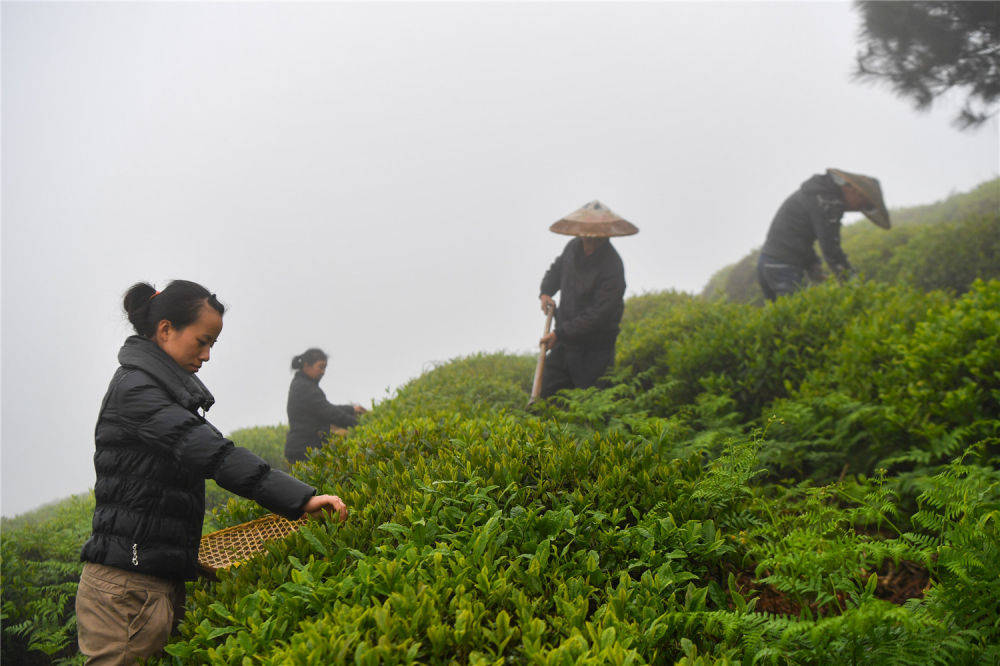 标志|中欧地理标志协定鼓舞中国生产者