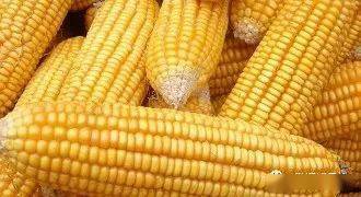 33841fda52ee4f5aaf62fb55cabf7d69.jpeg