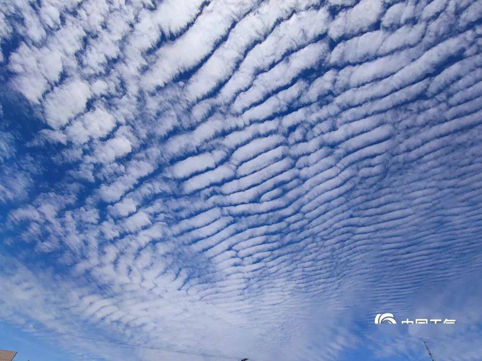 甘肃省高台县天空通透亮丽,鱼鳞云在蔚蓝天空的映衬下,一排排一列列
