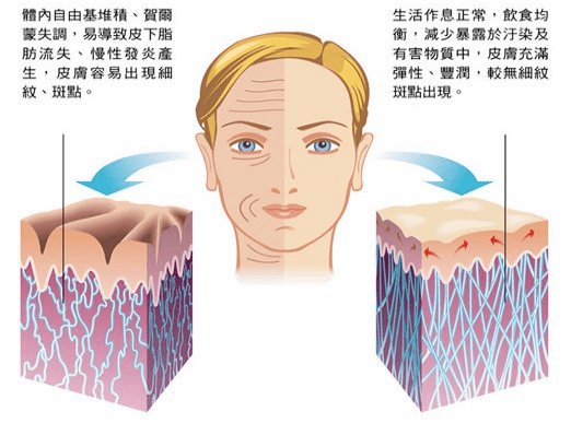 面部|前夫贩毒判刑15年,44岁错嫁2次的黄奕还能重来吗?