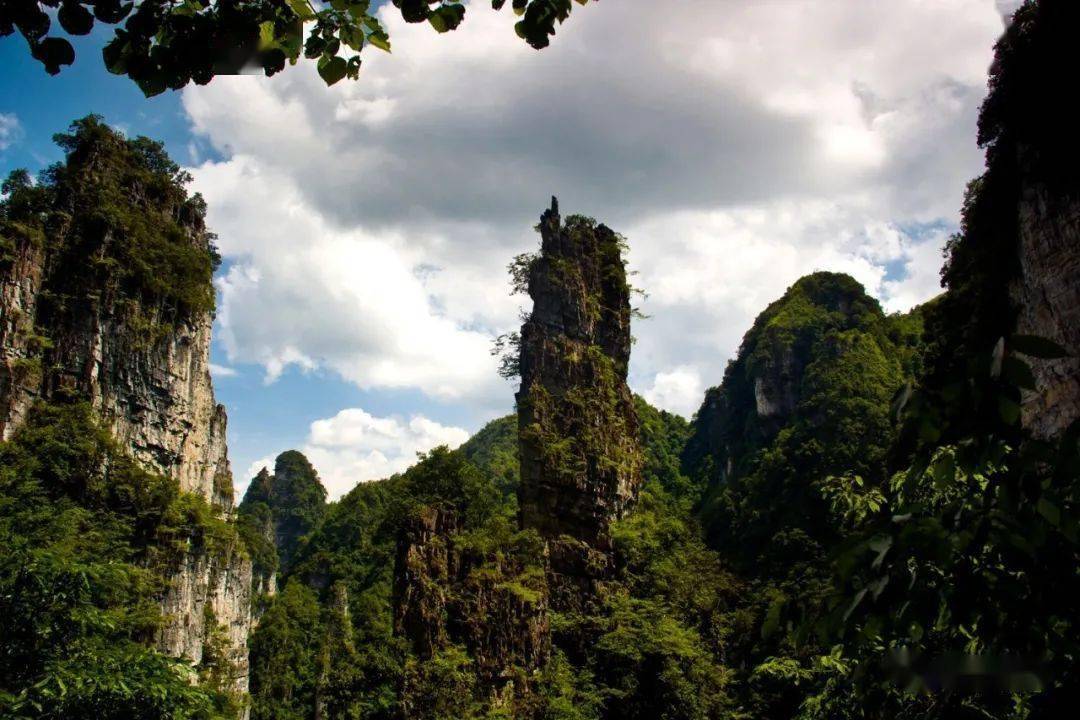 毕节市大方油杉河旅游景区