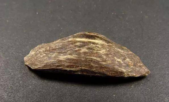 游客|沉香到底属不属于木头？