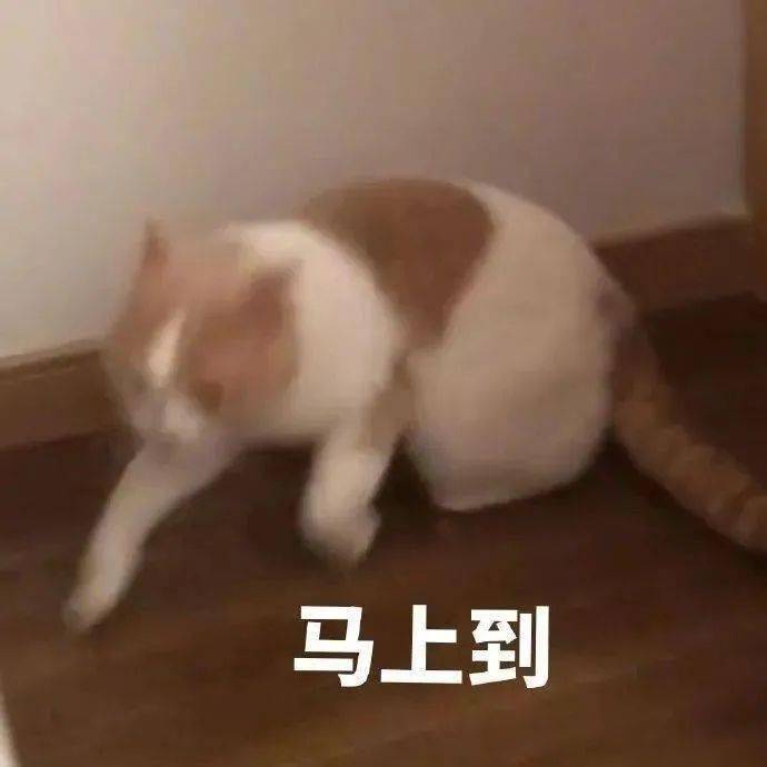 我想要一个亲亲