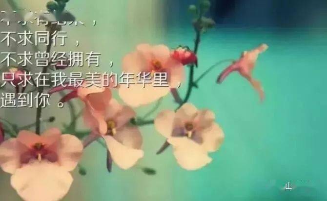 dbf13cec76f54445bd3df6f86503badf.jpeg