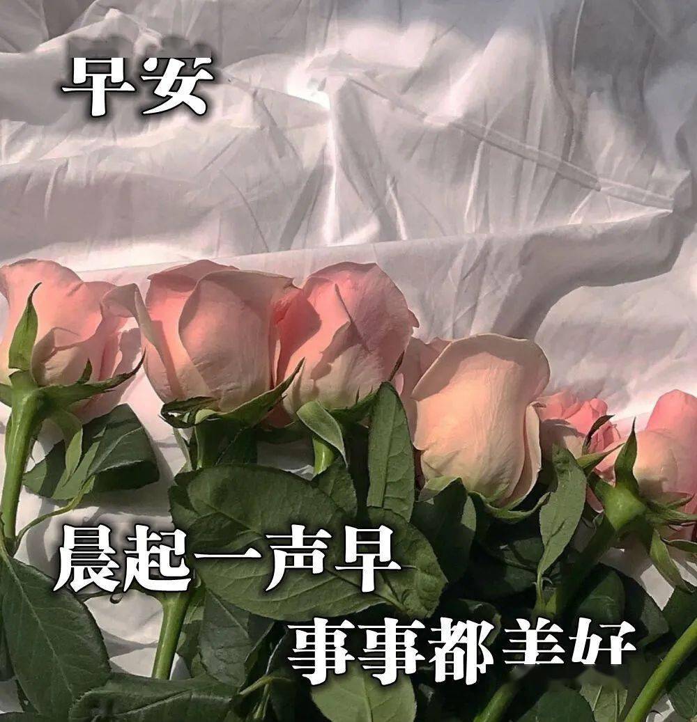 早安最美图片2020群里,2020最美早安图片唯美 2020最美早安图片,鲜花早上好图片大全,走心的句子简短一句话