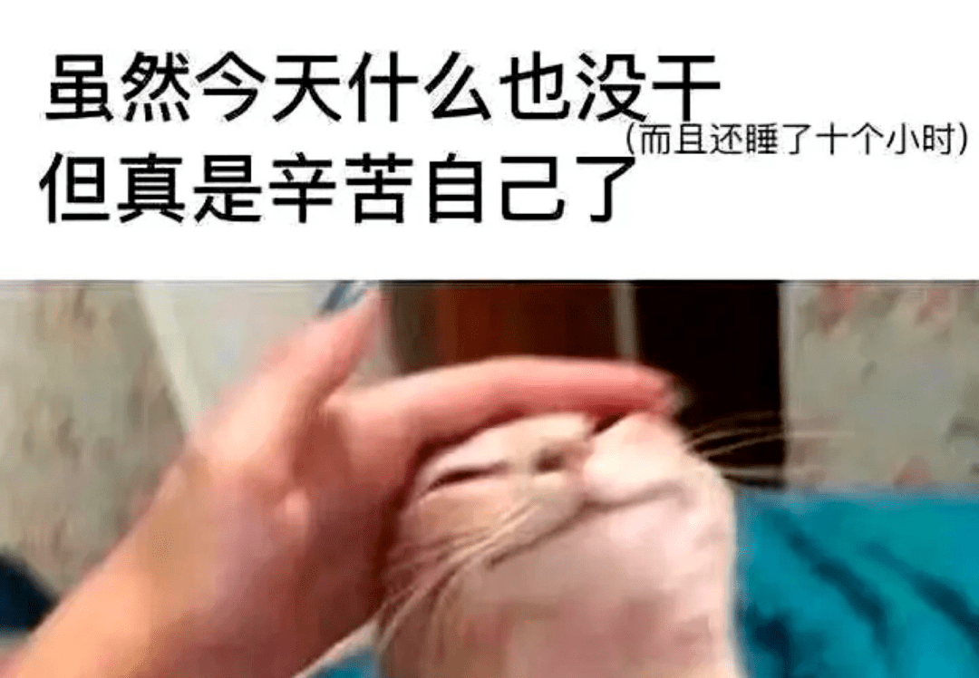 192dfbe28a464ecdb0f3f2ace1b27462.png