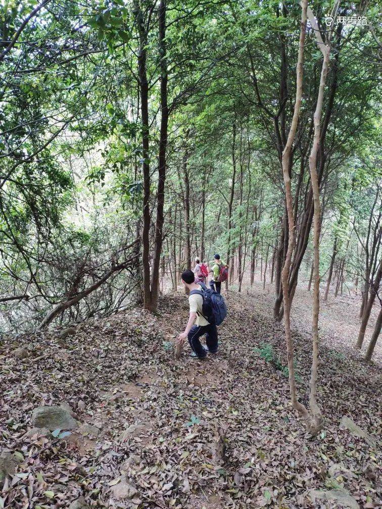 已成团有位召集1天10月7日黄埔徒步登山探险油麻山