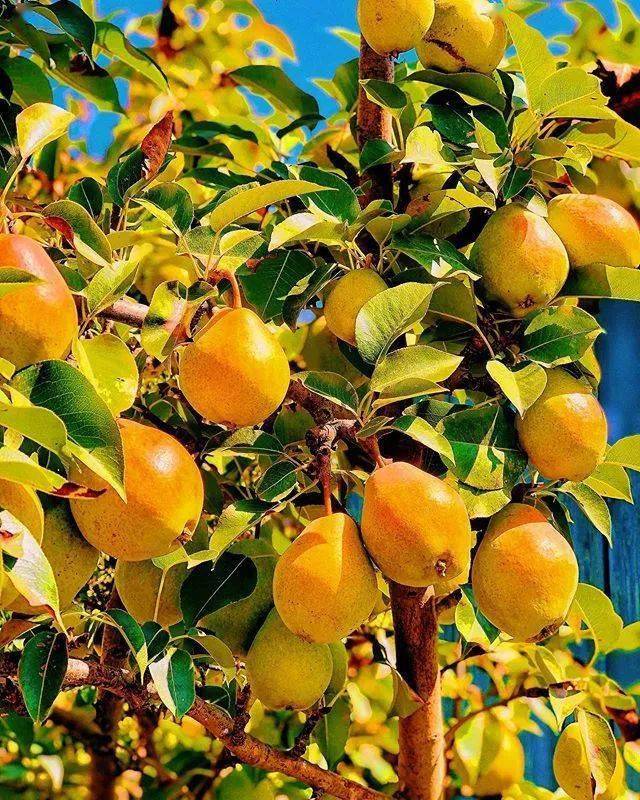 水润|《恶之花》李准基变身韩版“张东升”，女主发光美貌全靠“妆”？