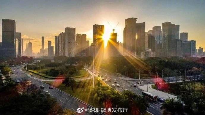 基础教育|特区40年｜深圳基础教育阶段共有各类学校2593所