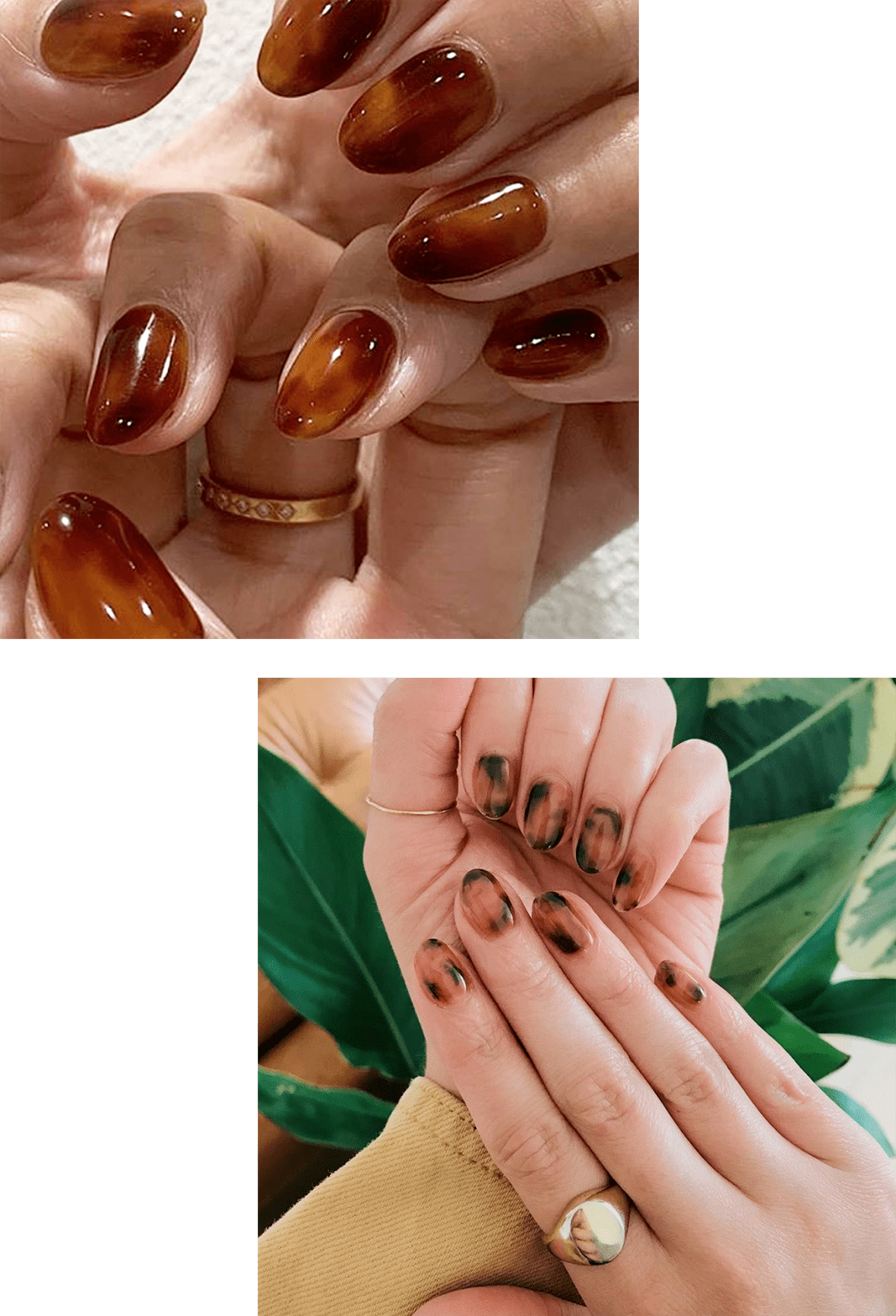 气质|风靡秋冬的裸棕色，凭什么这么受欢迎？