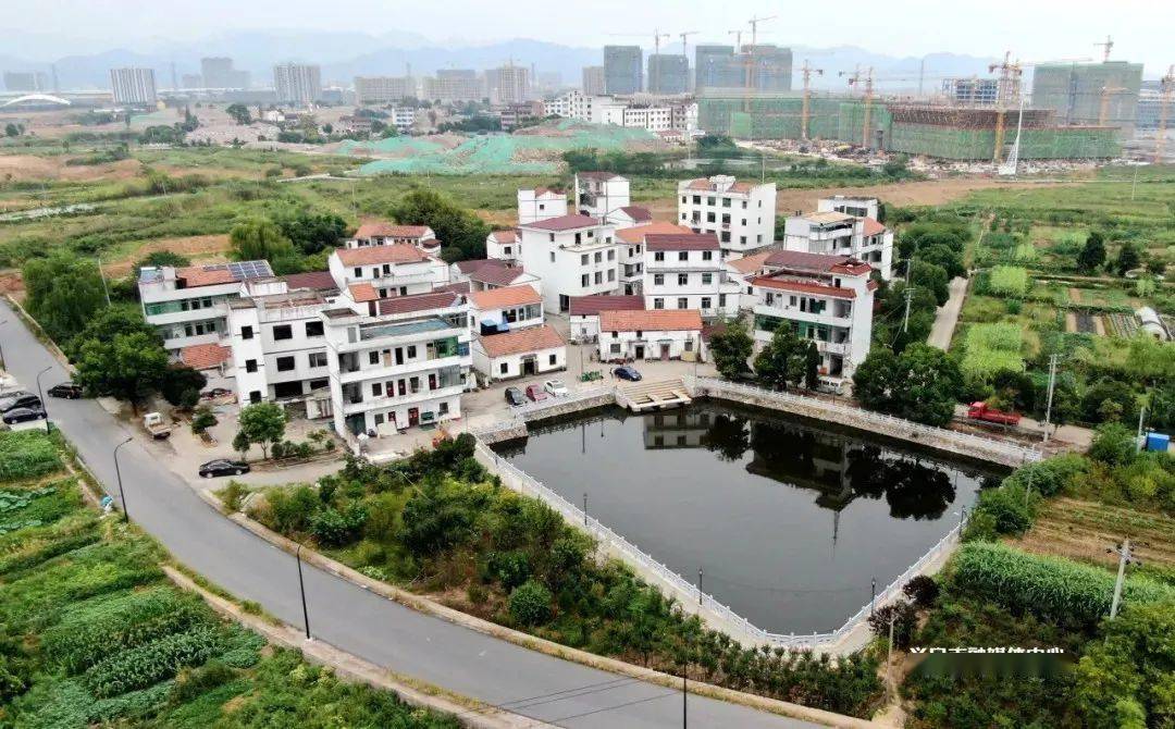 义乌这个村,提前开拆!_稠江街道