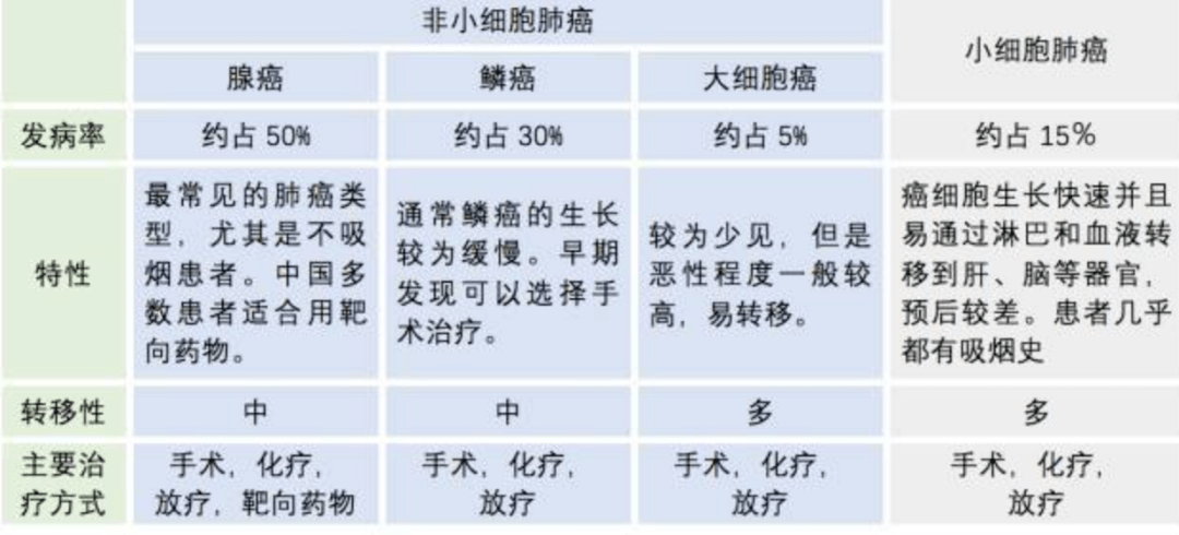 肺癌分型(图片来源:sohu.com)