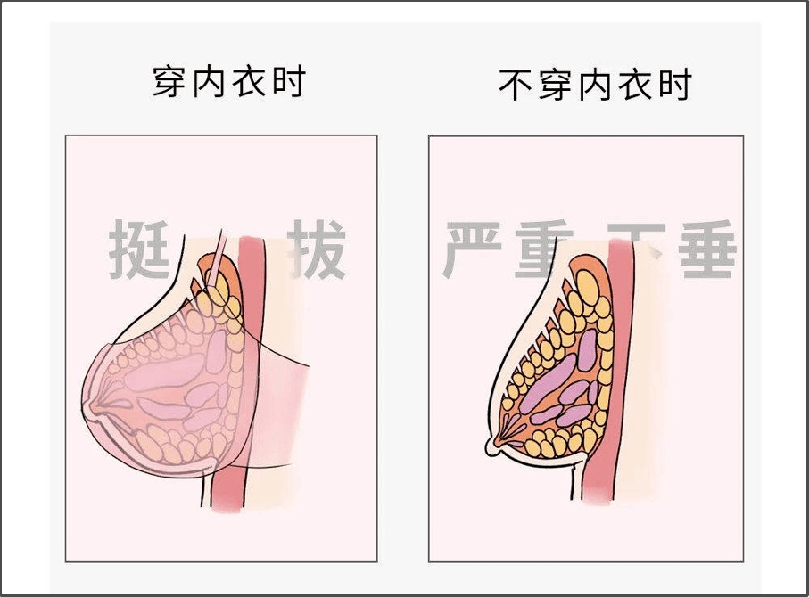 吉娜人设崩塌,最后只有胸有看点?