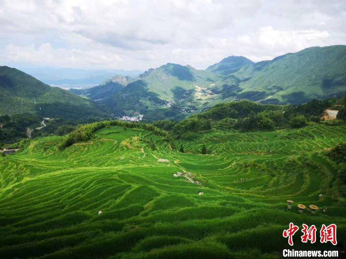 诗画|浙江丽水：打造“诗画浙江”全域旅游的鲜活样板