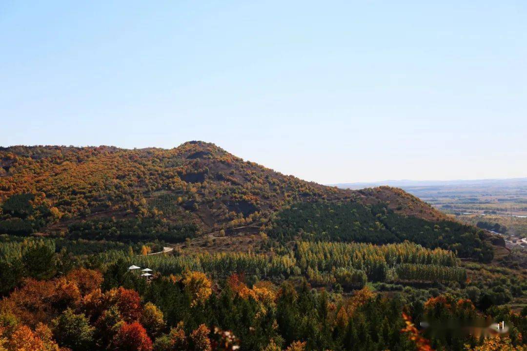 碾子山2020年有多少人口_碾子山贴吧照片