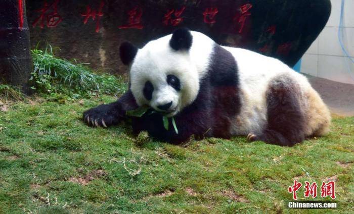 北京亚运三十年:一首歌 一座城 一段泛黄的流金岁月