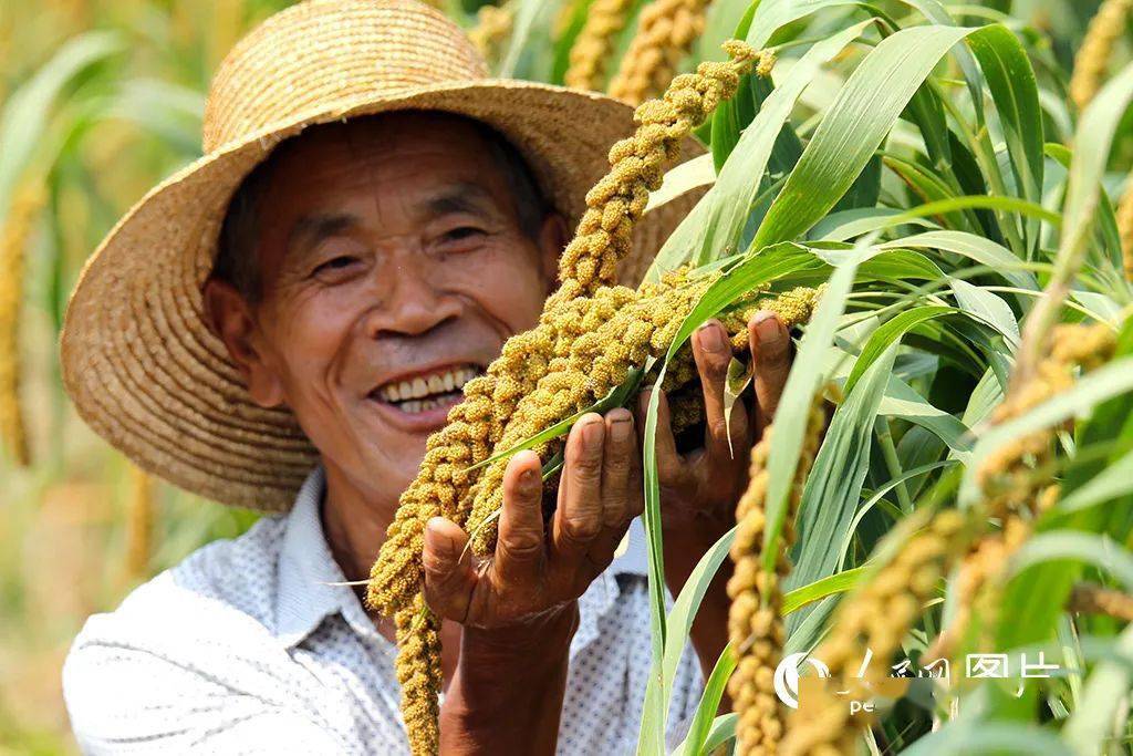 襄城县2020gdp_襄城县斌英中学照片(2)