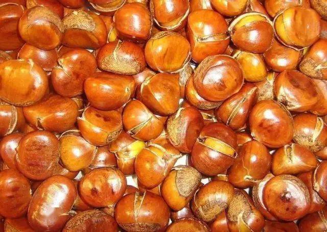 什么时候捡栗子 966e12a2ca4f4990b5087dc217c9a2fc.jpeg