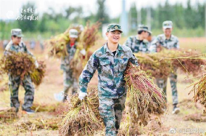 劳动|内蒙古：大学生田园劳动实践教育周启动