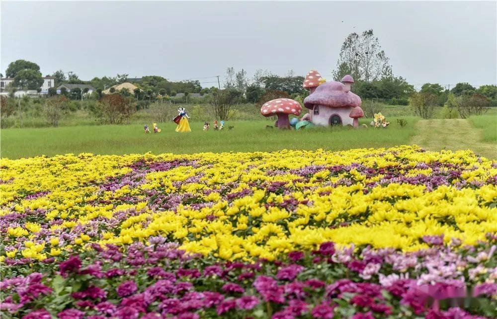 合肥又一网红打卡地半岛花溪乐园亮相巢湖岸边 9月25日盛大开业_季夜