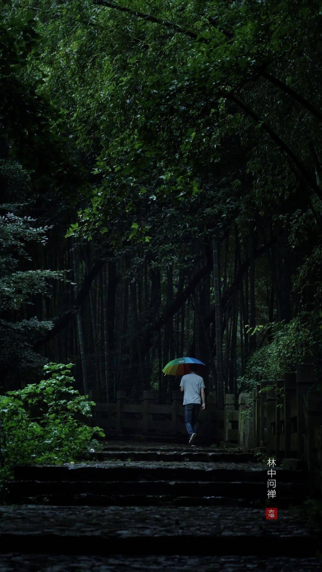 2716期|秋天的第一场雨