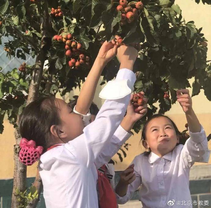 平谷|北京第二实验小学平谷分校师生“晒”丰收！