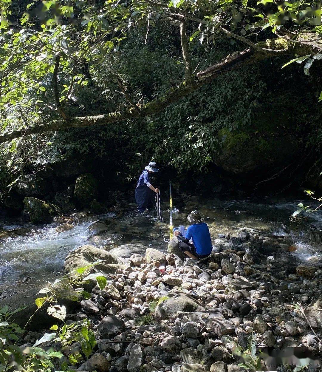 大理分局开展洱海苍山溪流生态补水调查分析工作