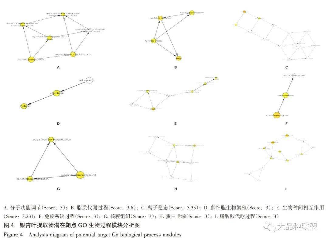 抗氧化原理是什么意思_抗氧化是什么意思(2)