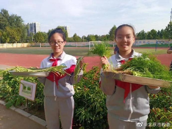 平谷|北京第二实验小学平谷分校师生“晒”丰收！