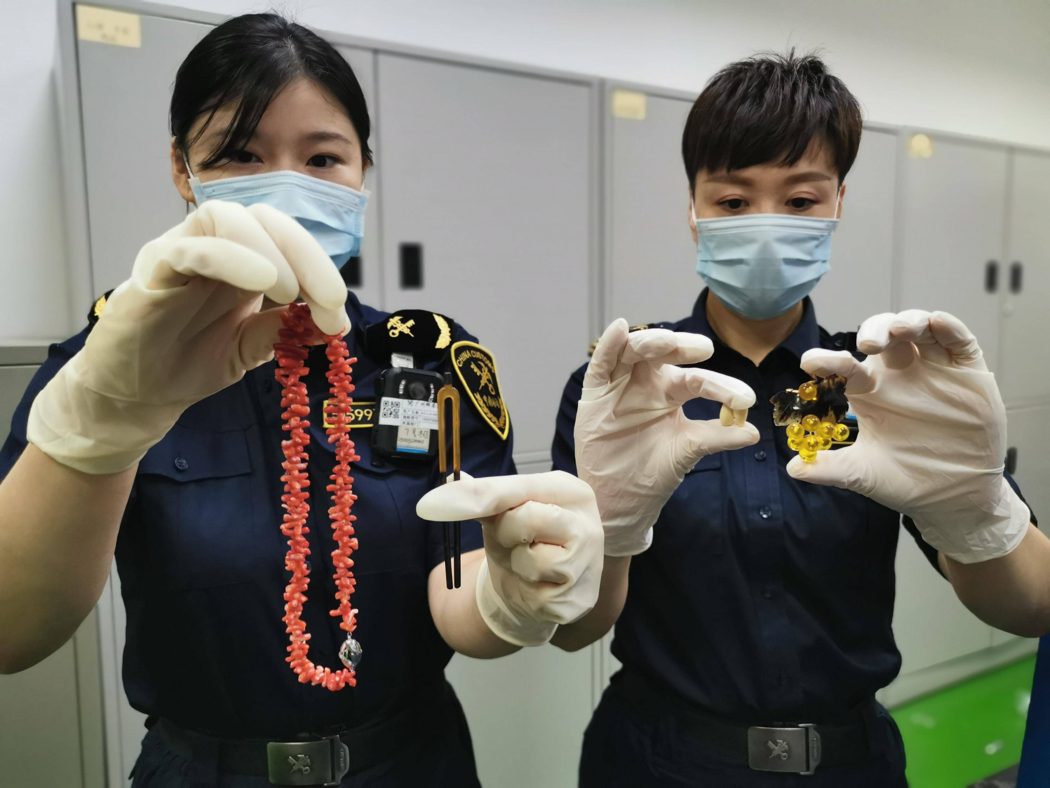 物种|广州海关在邮递渠道查获违规寄递濒危动物制品首饰