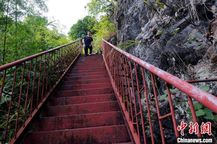 天梯|广西大化大石山区瑶胞求学路：从断崖天梯变坦途