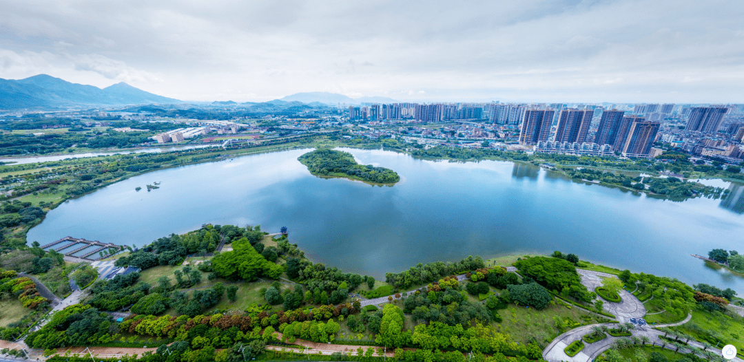 清远人注意"头排湖景"的ta来了,专治选择困难症!_中海