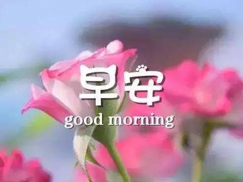 b00bdcd41b5043268cfe6c38b204cc45.jpeg