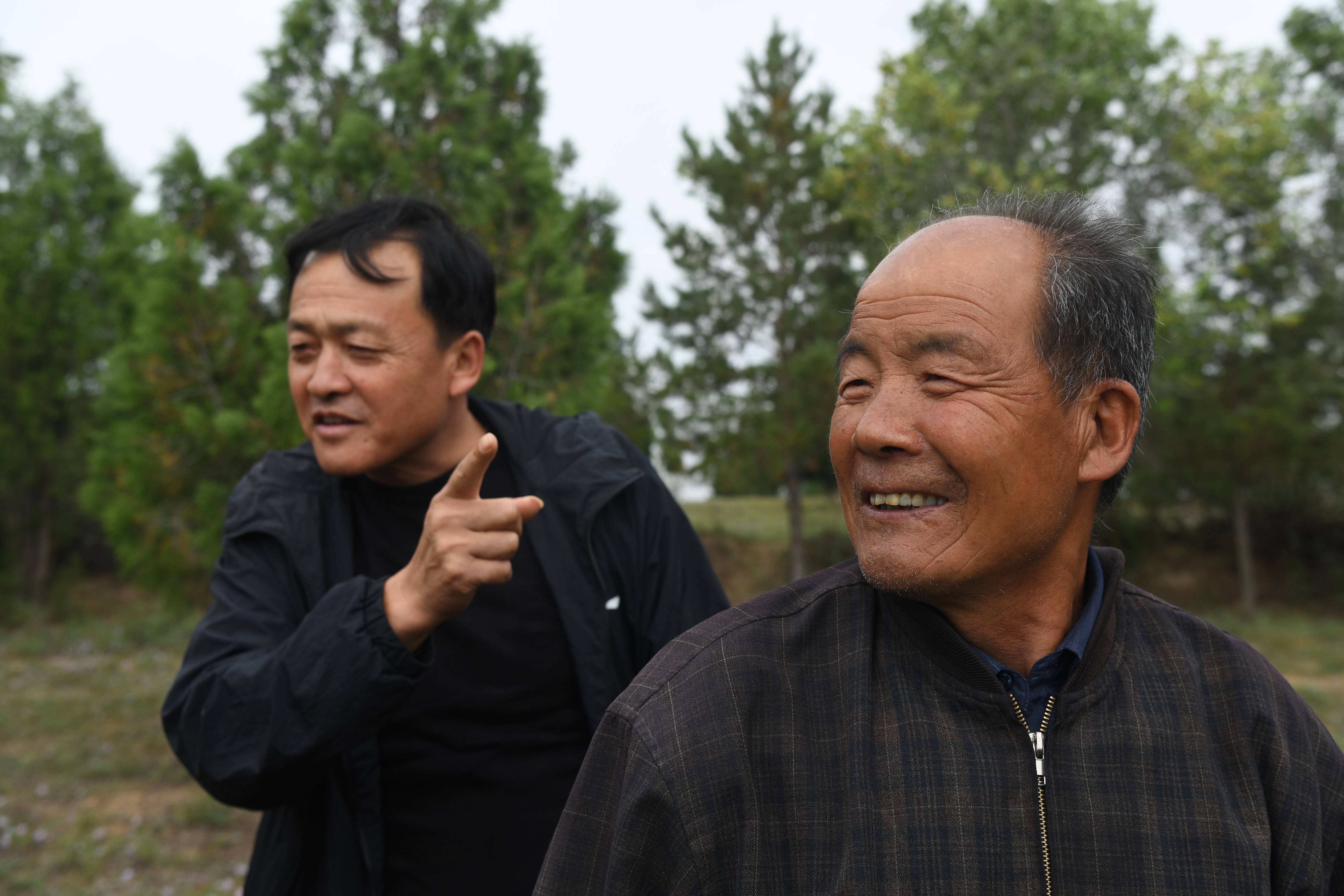 土窑洞|齐军祥：二十年绿化一座荒山