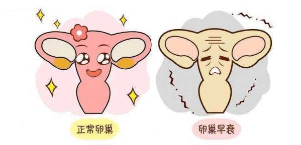 c75f61d3f5e44a4c9b423d965e9aea7f.png