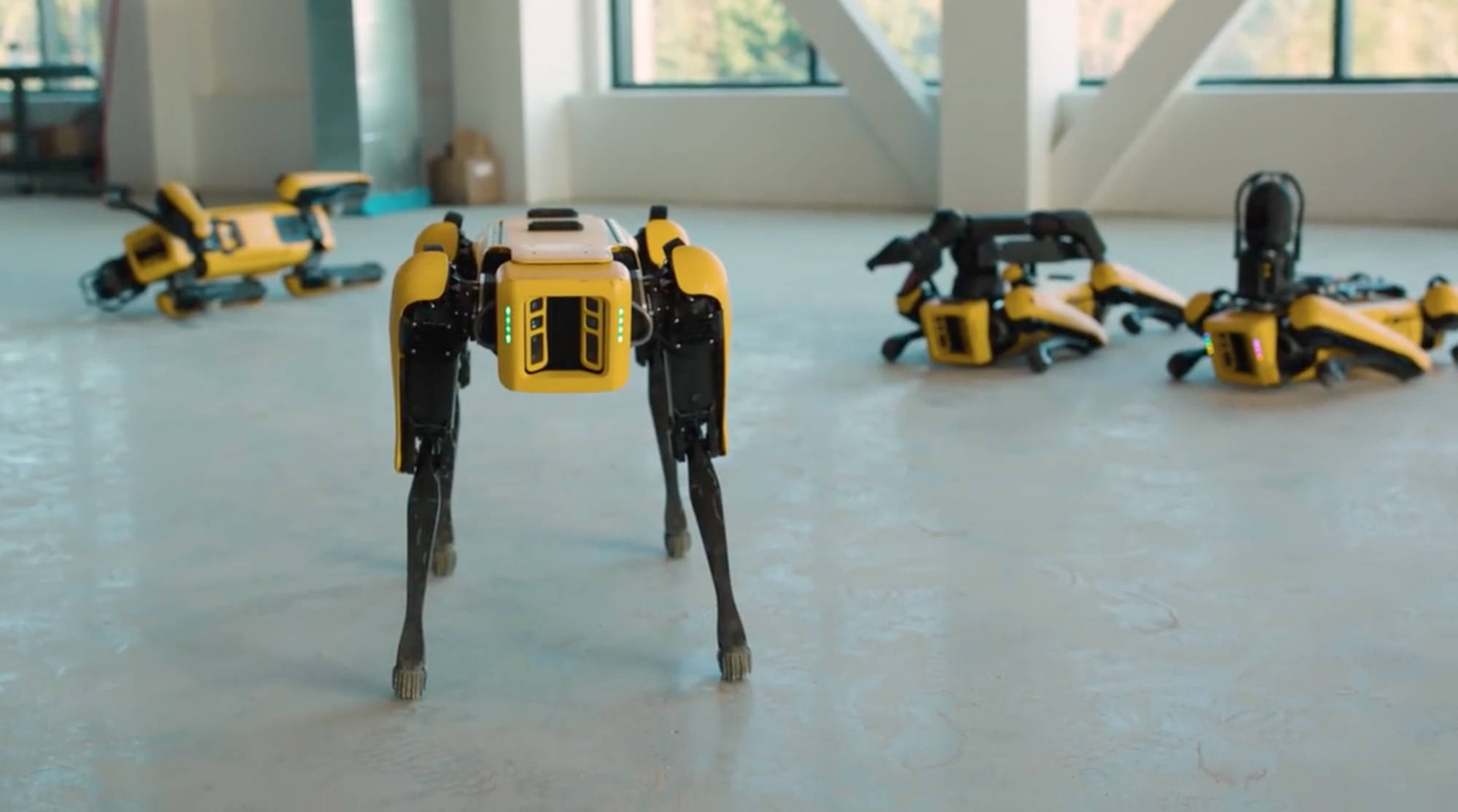 行走的终结者 加拿大深夜独行机器狗引争议,安装武器怎么办