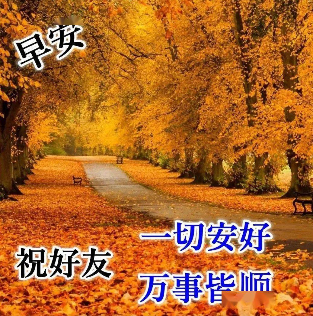 6张最新秋日风景早安问候图片带字精选 漂亮的秋天枫叶早上好图片带字