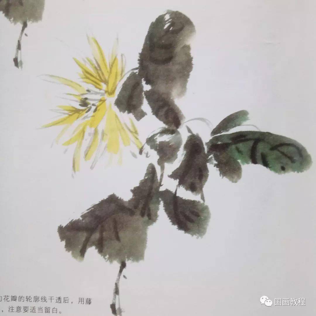 【国画教程】10种花鸟画的步骤画法,简单易学