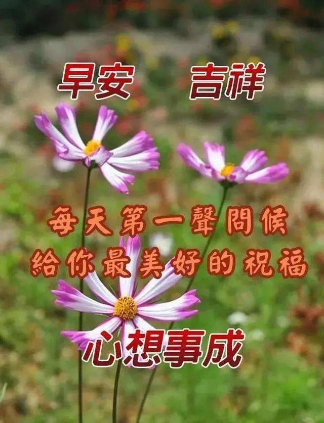 早上好微信问候语表情包 祝福早上好文字图片带字动态