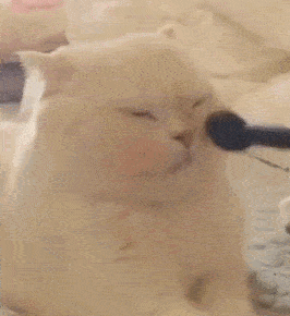 图片|入秋的第一杯奶茶?别忘了给唇色也安排上!