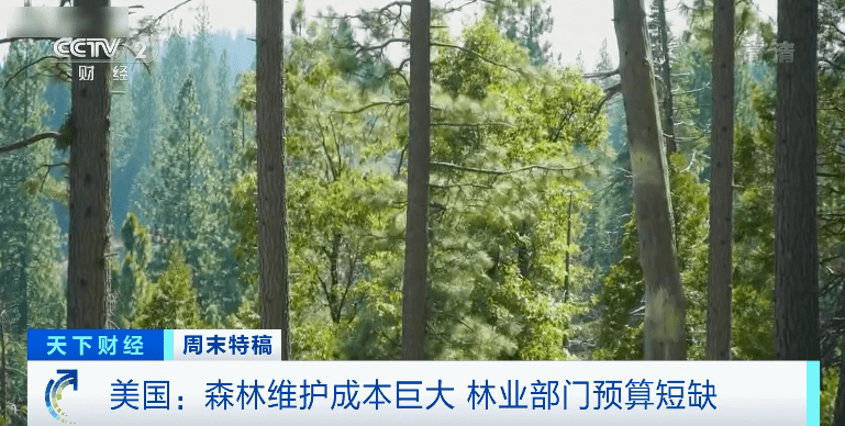 美国|史无前例！50万人紧急撤离！