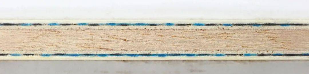 博会|2020乒博会——蝴蝶