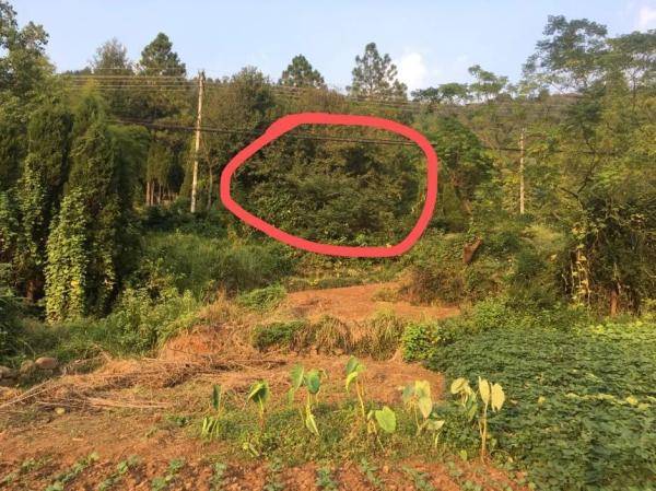 天台县|浙江一地惊现一处古墓！背后故事太震撼